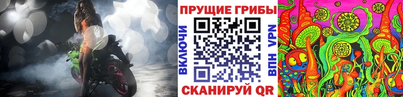 Псилоцибиновые грибы прущие грибы  продажа наркотиков  гидра tor  Долгопрудный 